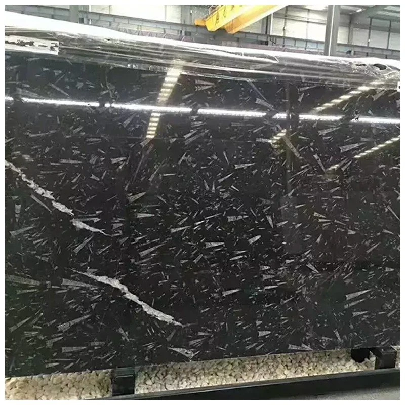 Fossil Marble Slabs Fossil Marble Slabs