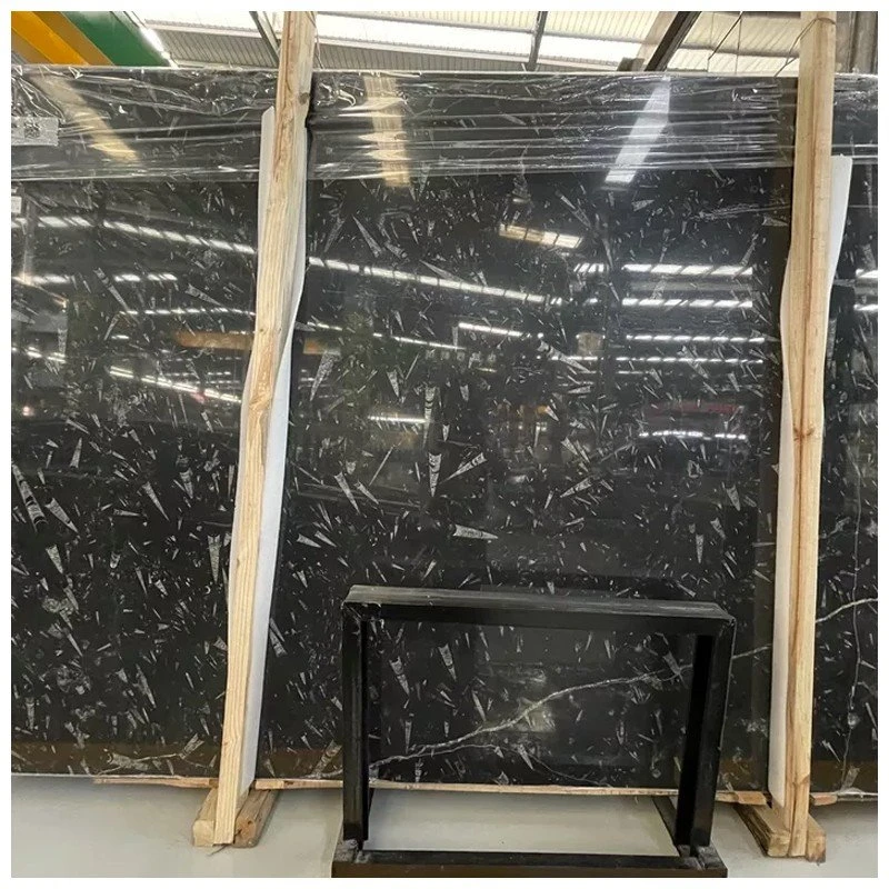 Nero Fossil Marble Slabs Nero Fossil Marble Slabs