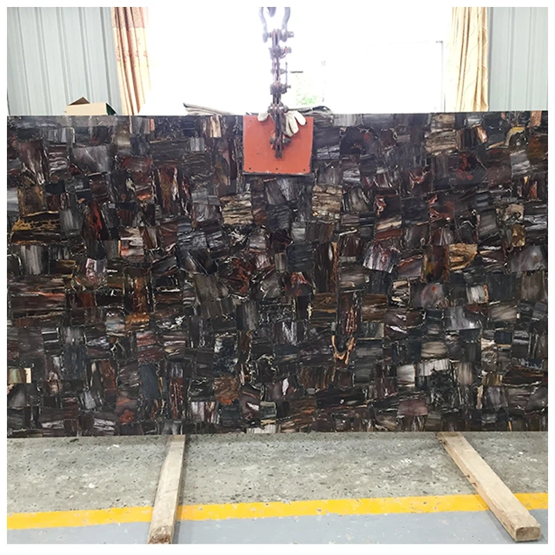 Black Petrified Wood Stone Slabs